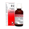 RECKEWEG DR. R2 AURIN 50ML