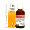 RECKEWEG DR. R14 QUIETA 50ML