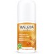 DEO ARGOUSIER ROLL-ON 50ML