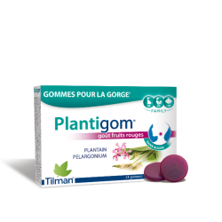 PLANTIGOM TILMAN 24 GOMMES A SUCER FRUITS ROUGES