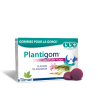 PLANTIGOM 24 GOMMES POUR LA GORGE FRUITS ROUGES TILMAN