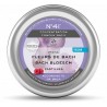 CONCENTRATION PASTILLES BIO N°41 50 G FLEURS DE BACH