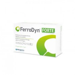 FERRODYN FORTE 90 GELULES