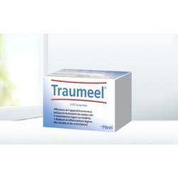 TRAUMEEL 250 Comprimés à sucer