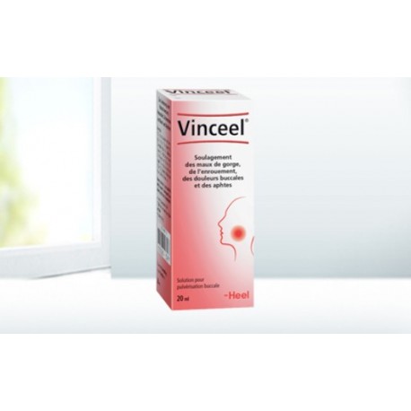 VINCEEL Spray buccal