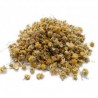 CAMOMILLE ROMAINE EN FLEURS 50 GR TILMAN