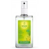 DEODORANT 24H CITRUS SANS SELS D'ALUMINIUM 100ML WELEDA