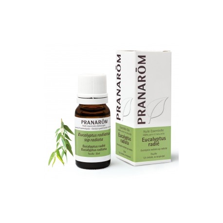 HE EUCALYPTUS RADIATA 10ML