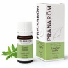 LAURIER NOBLE HUILE ESSENTIELLE 5ML PRANAROM