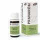ROMARIN A VERBENONE HUILE ESSENTIELLE BIO 5ML PRANAROM