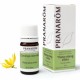 HE YLANG YLANG 5ML