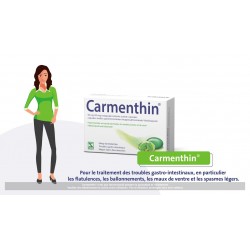 CARMENTHIN 42 CAPSULES MOLLES GASTRO RESISTANTES