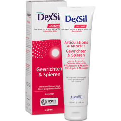 DEXSIL INSTANT GEL100ML