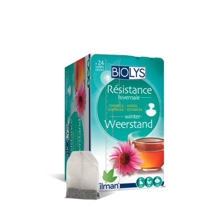 Tisane Hiver bio - 24 sachets