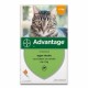 ADVANTAGE 40 VET CAT - DE 4 KG SPOT-ON 4 x 0.4 ML