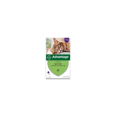 ADVANTAGE 80 VET CAT + DE 4 KG SPOT-ON 4 X 0.8 ML