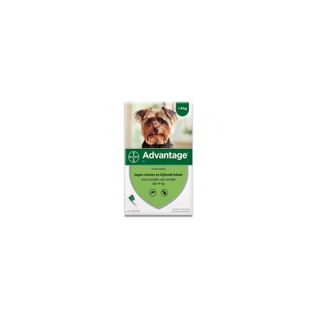 ADVANTAGE 40 DOG - DE 4 KG SPOT-ON 4X0.4ML