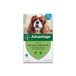 ADVANTAGE 100 DOG 4-10KG SPOT-ON 4X1.0ML