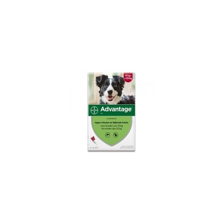 ADVANTAGE 250 DOG 10-25KG SPOT-ON 4X2.5ML