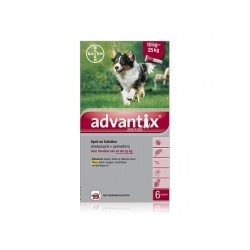 ADVANTIX 250/1250 DOG 10-25KG SPOT-ON 6X2.5ML