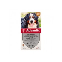 ADVANTIX 600/3000 DOG 40-60KG SPOT-ON 4X6ML