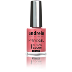 ANDREIA PROFESSIONAL VZO HYBRIDGEL 10,5 ML H4 GRIS ET VIOLETS