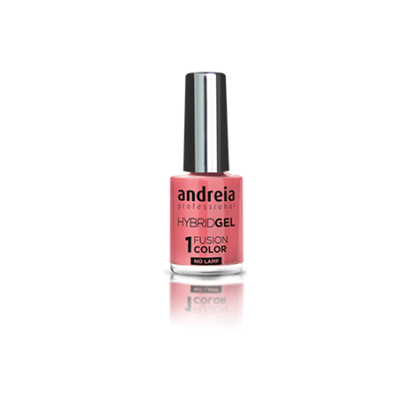 ANDREIA PROFESSIONAL VZO HYBRIDGEL 10,5 ML H4 GRIS ET VIOLETS