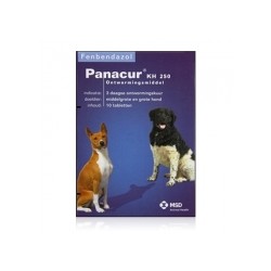 PANACUR VET 250 MG 10 COMPRIMES