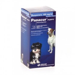 PANACUR PUPPY SOLUTION BUVABLE 100MG/ML