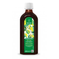 JUS DE BOULEAU 250ML