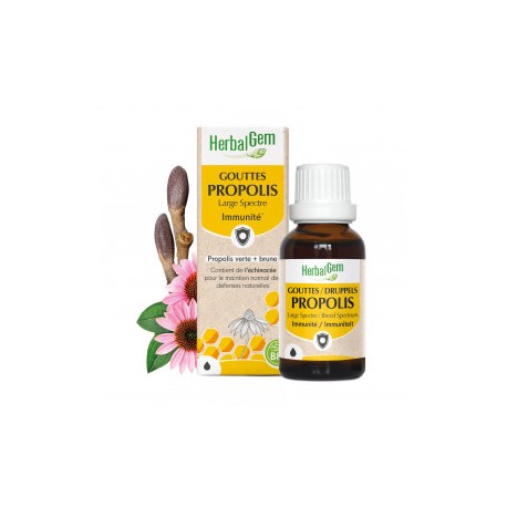 PROPOLIS GOUTTES BIO