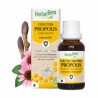 PROPOLIS LARGE SPECTRE GOUTTES BIO 50ML HERBALGEM
