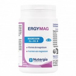 ERGYMAG 90 GEL