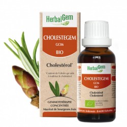 CHOLESTEGEM CHOLESTEROL COMPLEXE BIO 30 ML HERBALGEM