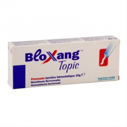 BLOXANG POMMADE HEMOSTATIQUE 30 GR