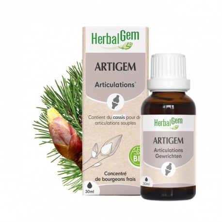 ARTIGEM COMPLEX ARTICULATION 30ML