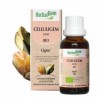CELLULIGEM COMPLEXE MINCEUR BIO 30ML HERBALGEM