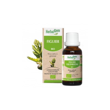 HERBALGEM FIGUIER MACERAT 30ML