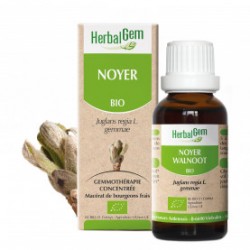 HERBALGEM NOYER MACERAT 30ML