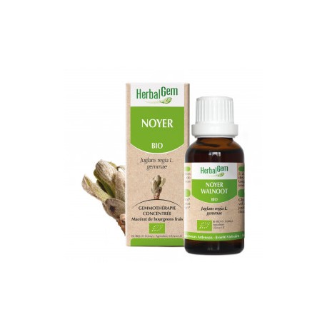 HERBALGEM NOYER MACERAT 30ML