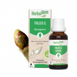 TILLEUL MACERAT-MERE BIO 30 ML