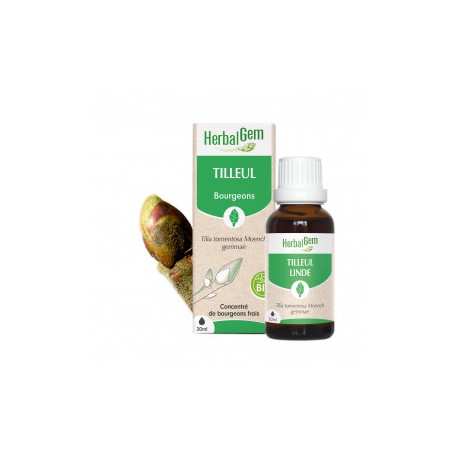 TILLEUL MACERAT-MERE BIO 30 ML