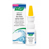 POLLINOSAN SPRAY NASAL RHUME DES FOINS 10 ML