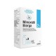 MINOXIDIL 2% CHUTE DE CHEVEUX SOL BAILLEUL 3X60ML