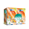 BIOLYS THE MINCEUR GUARANA THE VERT FRUITS EXOTIQUES 2X24 INFUSIONS DUO-PACKTILMAN