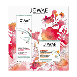 COFFRET NOEL JOWAE 2 PRODUITS
