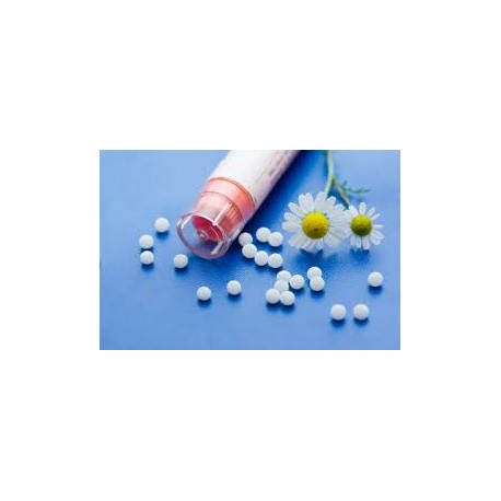 CHLAMYDIA TRACHOMATIS XMK GR