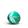 EUCALYGUM GOMME PECTORALE A SUCER AVEC SUCRE 40 GR TILMAN