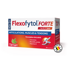 FLEXOFYTOL FORTE 84 COMPR