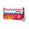 FLEXOFYTOL FORTE 84 COMP PELLICULES TILMAN